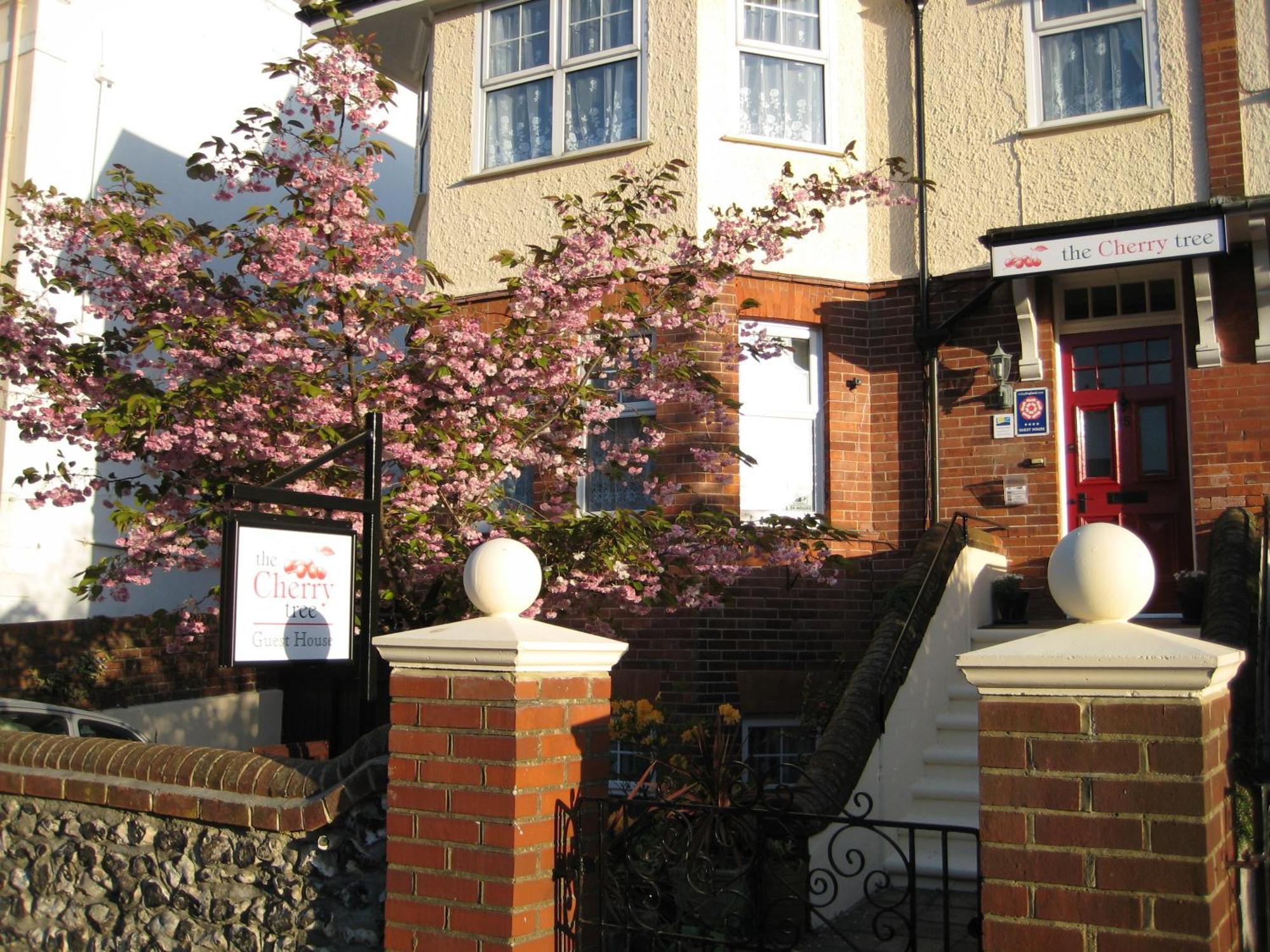 The Cherry Tree Guest House Eastbourne Ngoại thất bức ảnh